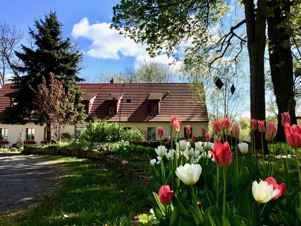 Gaestehaus Schloss Plaue Brandenburg  Exteriér fotografie