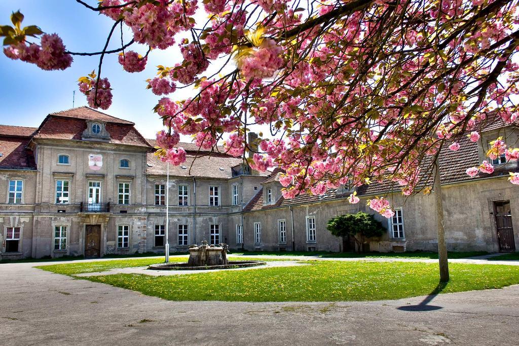Gaestehaus Schloss Plaue Brandenburg  Exteriér fotografie